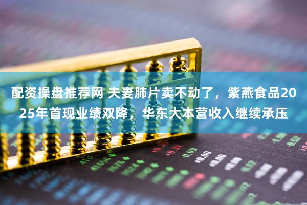 配资操盘推荐网 夫妻肺片卖不动了，紫燕食品2025年首现业绩双降，华东大本营收入继续承压