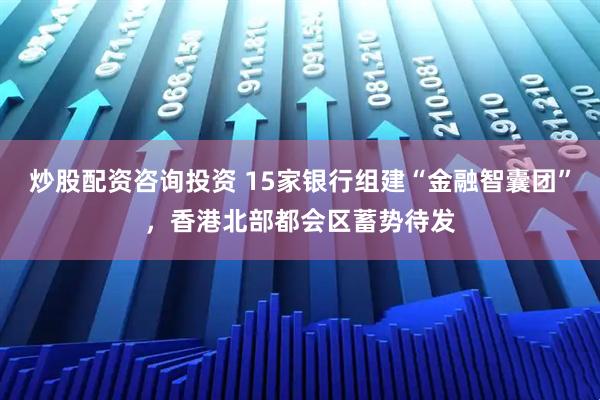 炒股配资咨询投资 15家银行组建“金融智囊团”，香港北部都会区蓄势待发