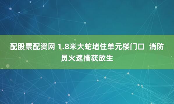 配股票配资网 1.8米大蛇堵住单元楼门口  消防员火速擒获放生